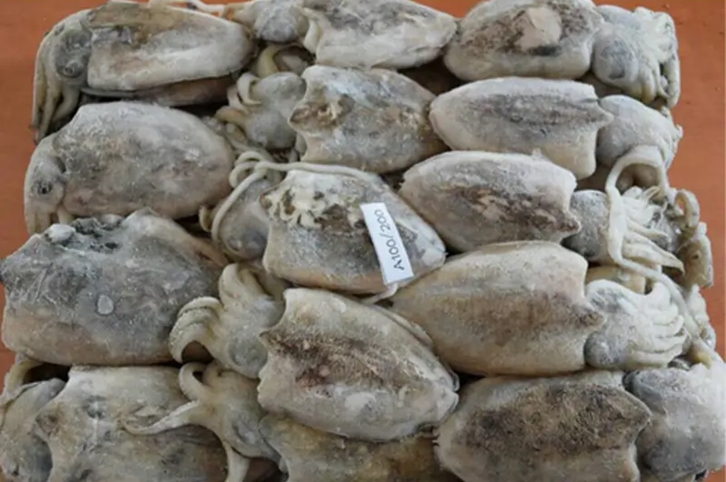 馬來西亞冷凍墨魚進(jìn)口報(bào)關(guān)流程到上海外高橋案例