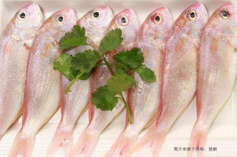 越南冷凍魚(yú)進(jìn)口清關(guān)流程到廣州南沙代理金線(xiàn)魚(yú)案例