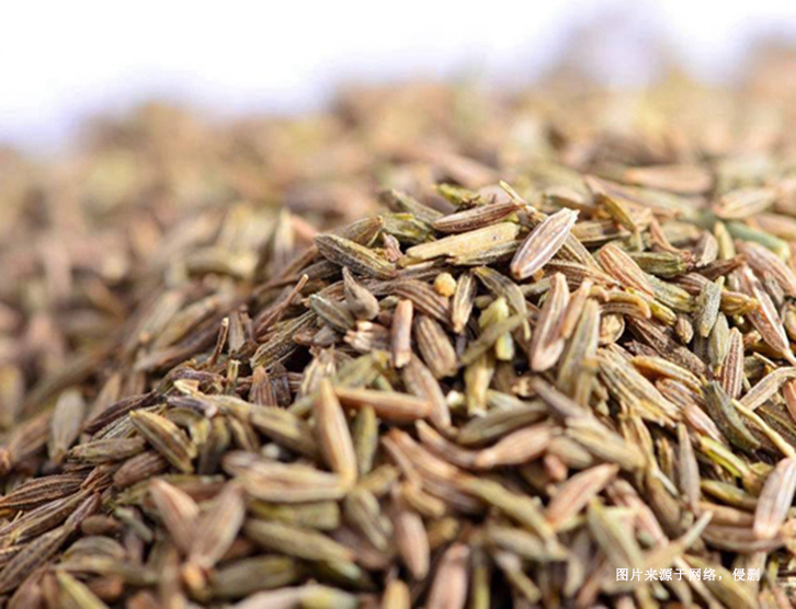 德國枯茗子進口清關(guān)資料