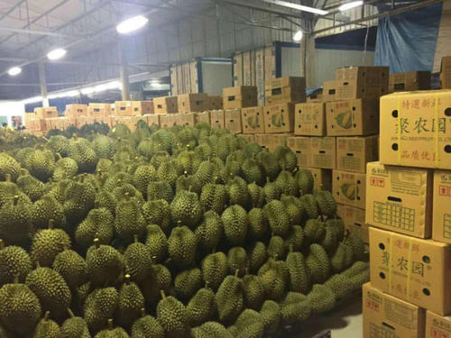 1570497384559496.jpg 榴蓮進(jìn)口報(bào)關(guān)