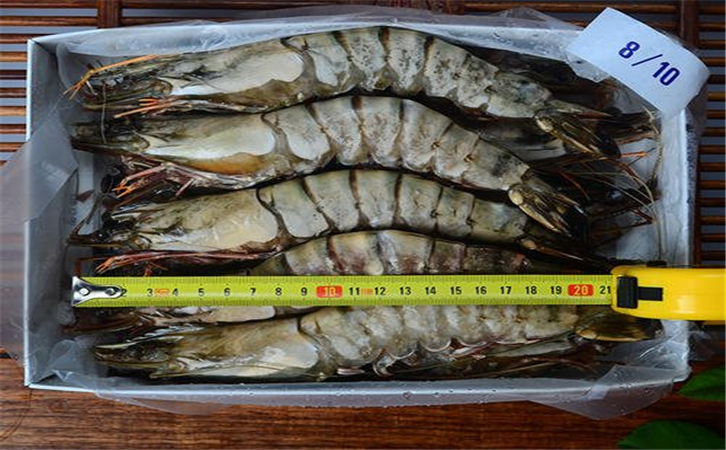 進口泰國蝦清關(guān)代理公司 進口泰國蝦清關(guān)