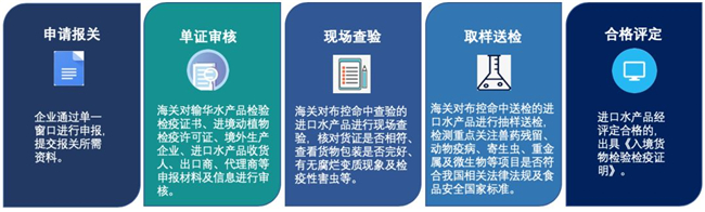 1591237745110569.jpg 進(jìn)口水產(chǎn)品報(bào)關(guān)