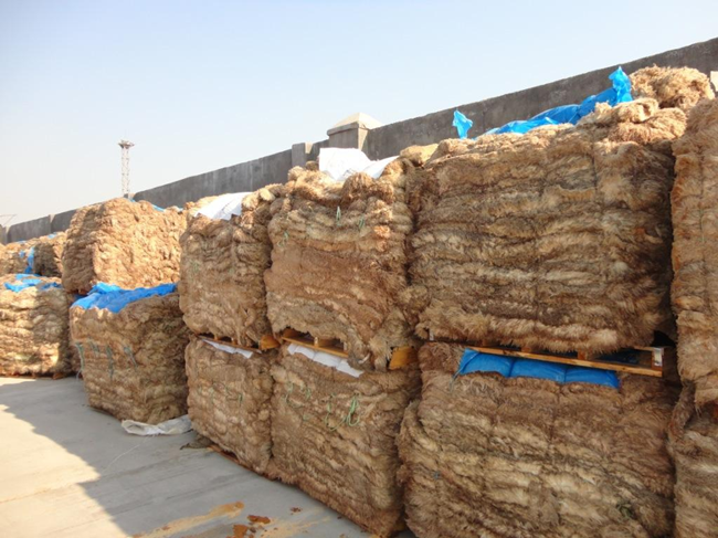 1596679332137902.png 鹽濕皮進(jìn)口報(bào)關(guān)