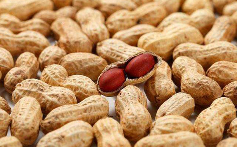 1605668209320473.jpg 農(nóng)產(chǎn)品進口報關