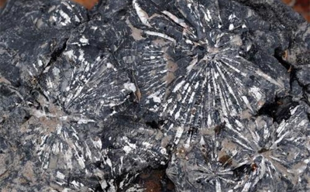 鎳礦石進口清關(guān)所需資料以及注意事項 鎳礦石進口清關(guān)