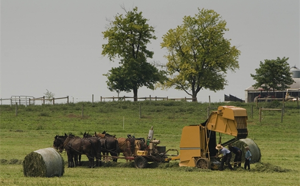 打捆機進口清關(guān)需要的流程以及費用 打捆機進口清關(guān)