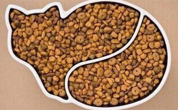 【進口貓糧清關(guān)代理】的流程，貓糧進口這樣做