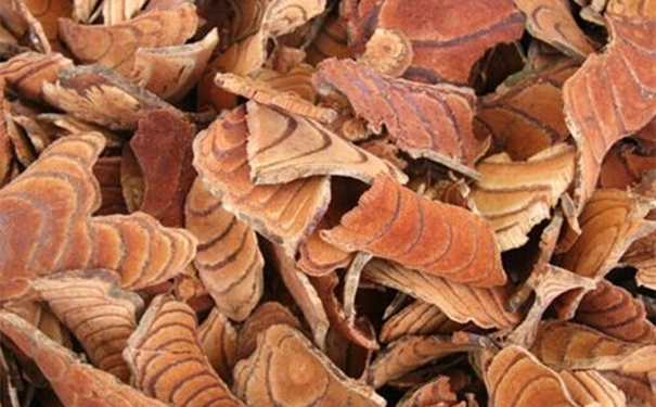 【進口中藥雞血藤清關(guān)代理】的流程，一般貿(mào)易進口雞血藤