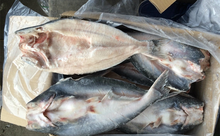 進(jìn)口巴沙魚清關(guān)代理一點(diǎn)都不難，只要你準(zhǔn)備好這些資料