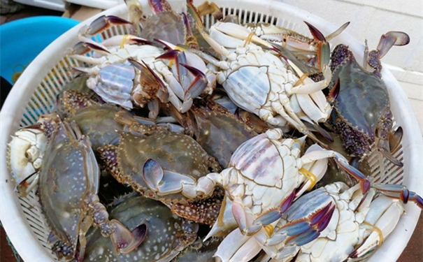 冷凍梭子蟹進(jìn)口報(bào)關(guān) 冷凍梭子蟹進(jìn)口報(bào)關(guān)的流程手續(xù)復(fù)雜嗎?