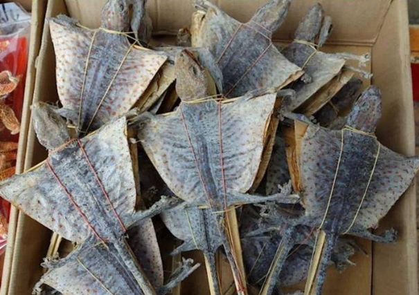 Look!上海港進(jìn)口蛤蚧代理清關(guān)這樣操作 上海港進(jìn)口蛤蚧代理