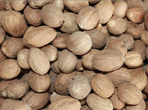 寧波港進口肉豆蔻通關(guān)一站式進口代理 肉豆蔻進口報關(guān).jpg