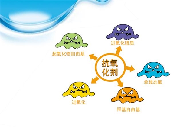 抗氧化劑進(jìn)口報(bào)關(guān)流程手續(xù)經(jīng)驗(yàn)豐富 抗氧化劑進(jìn)口報(bào)關(guān)_副本.jpg