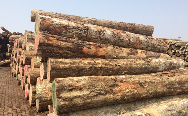 1628675467644666.jpg 原木進口清關(guān)上海代理公司g