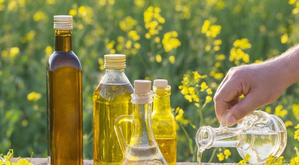 1629974353851449.jpg 上海菜籽油進(jìn)口報關(guān)代理公司_副本.jpg