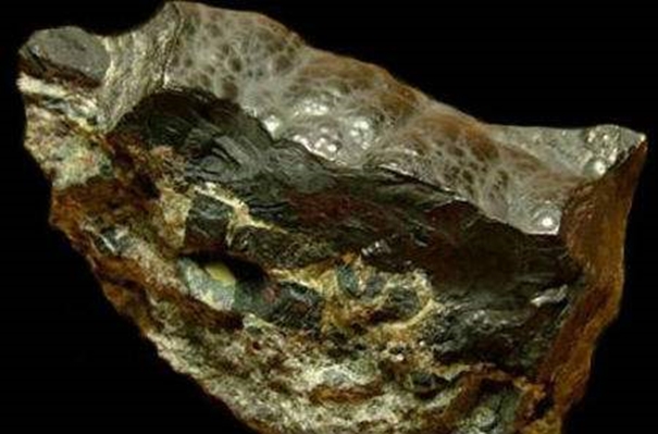 1639548352232189.jpg 寧波金精礦進(jìn)口清關(guān)_副本.jpg