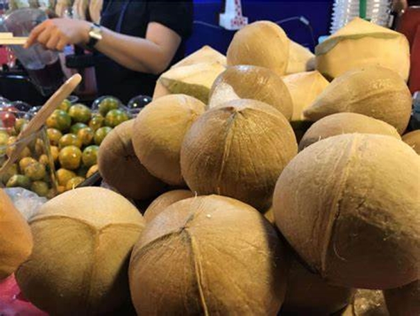 1643100936645904.jpg 椰子進(jìn)口報(bào)關(guān)_副本.jpg