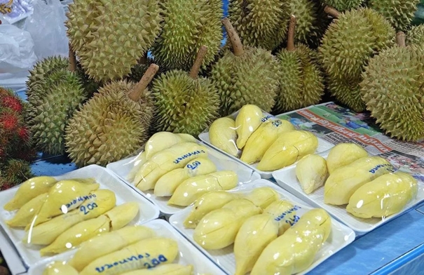 1646726602411396.jpg 進口泰國新鮮榴蓮報關(guān)_副本.jpg