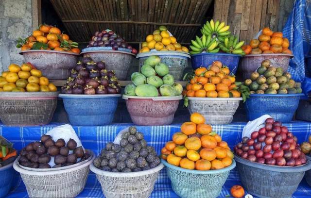 1647249394761214.jpg 東南亞水果進口報關(guān)代理.jpg