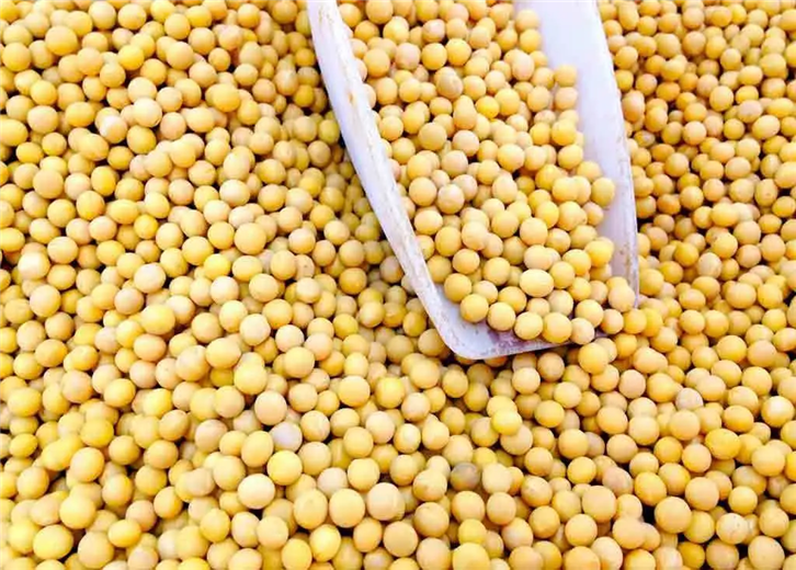 1647941022963733.png 農(nóng)副產(chǎn)品進(jìn)口報(bào)關(guān)_副本.png