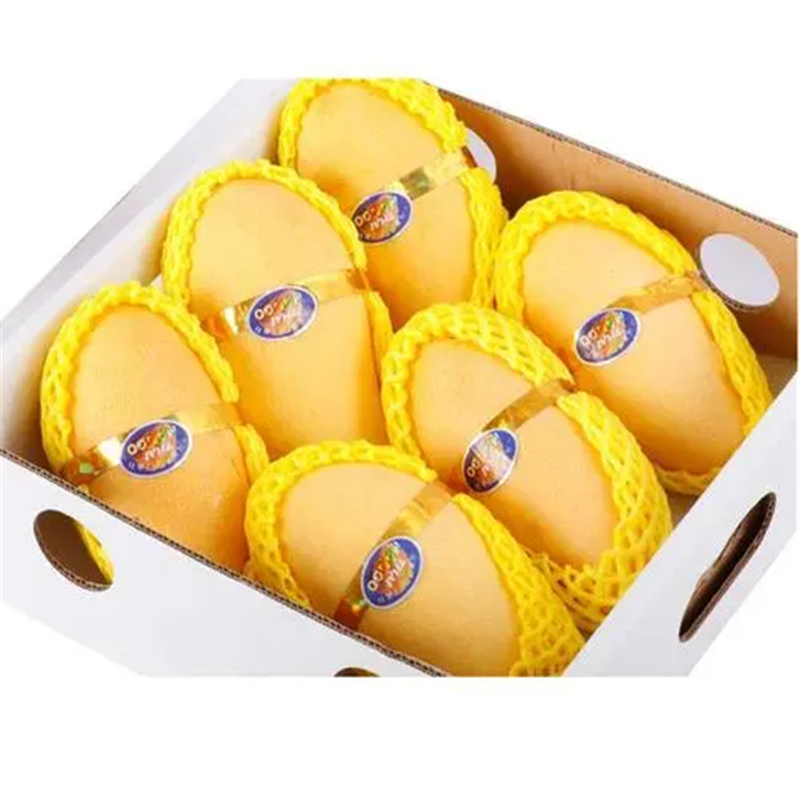 1655463558563923.png 進口巴基斯坦鮮芒果報關(guān) (2).png