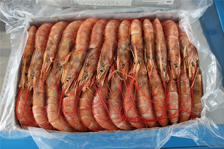 1655980172806973.png 進(jìn)口印度尼西亞海鮮報關(guān).png