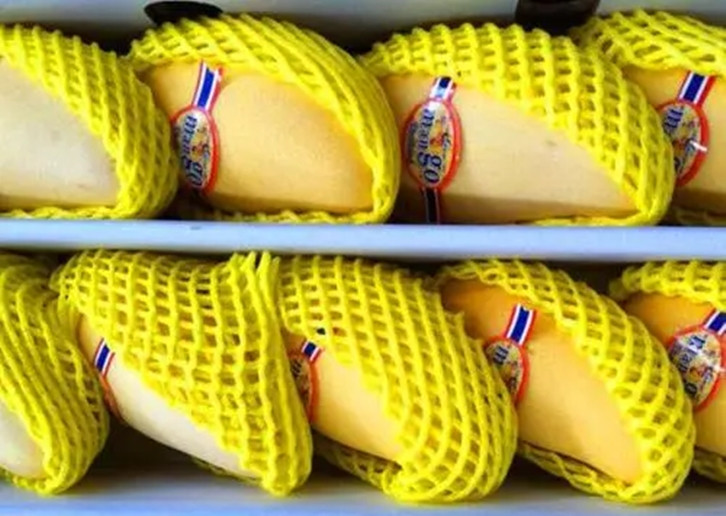 1657875586603233.jpg 廣州進口鮮芒果報關(guān).jpg