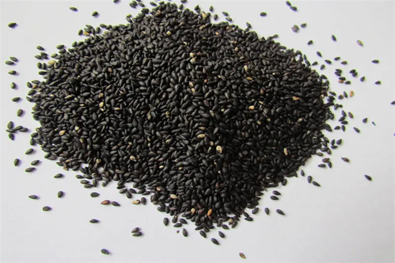 1666949296958014.png 進(jìn)口芝麻報(bào)關(guān)清關(guān)代理.png