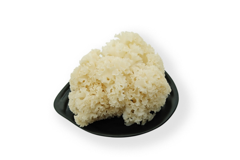 進(jìn)口營養(yǎng)植物報(bào)關(guān) 進(jìn)口營養(yǎng)植物報(bào)關(guān)