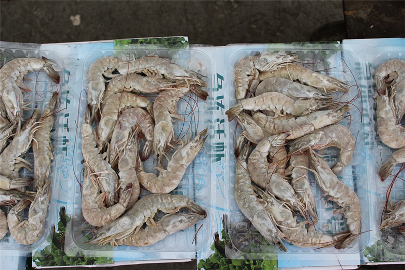 1676449473789534.png 冷凍蝦進(jìn)口報(bào)關(guān)代理公司.png