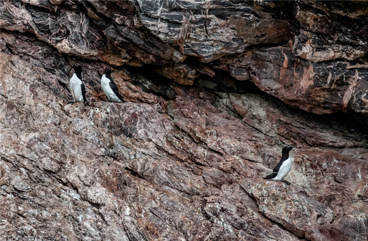 1681210468228244.png 銻礦石進(jìn)口報(bào)關(guān)公司.png