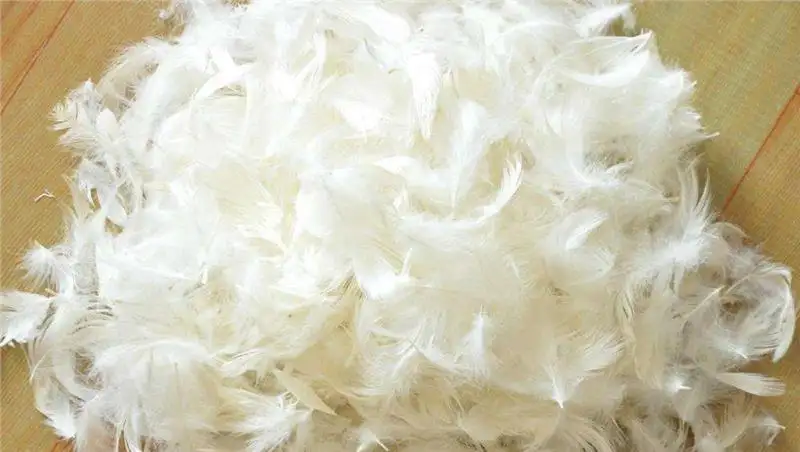 越南鴨毛進(jìn)口報(bào)關(guān)資料 越南鴨毛進(jìn)口報(bào)關(guān)資料