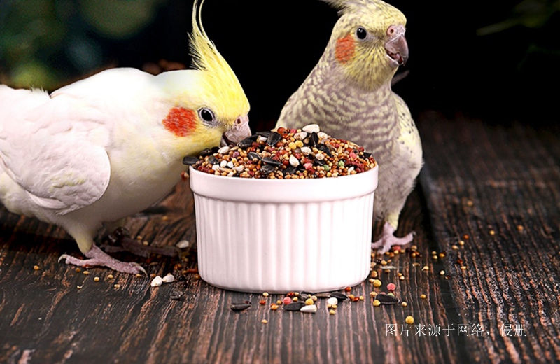 進(jìn)口加拿大寵物糧食清關(guān)費用 進(jìn)口加拿大寵物糧食清關(guān)費用